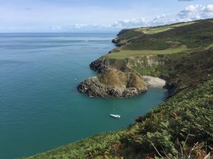 Coastal Path Cwmtydu View