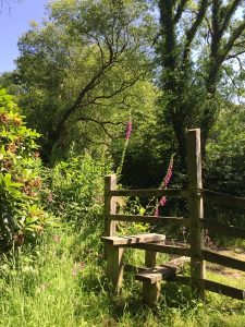 Style to the Woodland