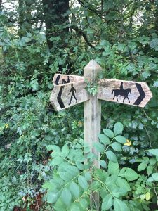 Walk This Way