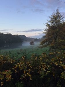 Misty Valley