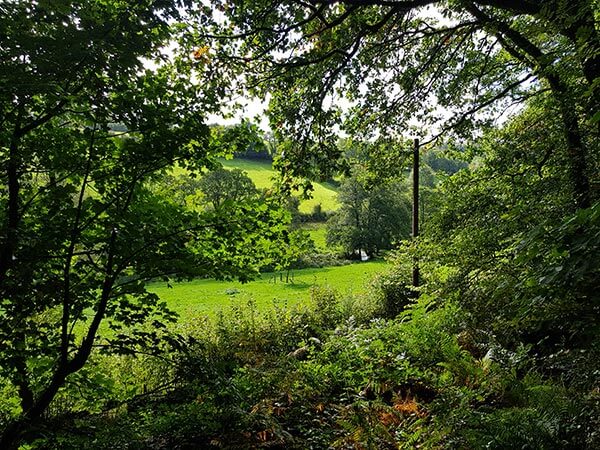 Green View Over the Valley
