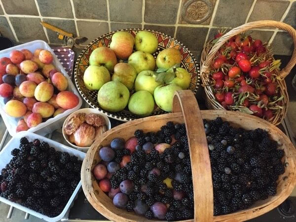 Hedgerow Jam Fruits