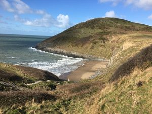 mwnt600x450
