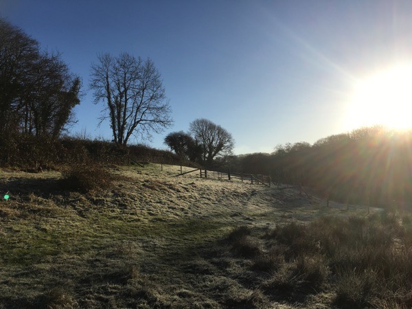 Sunrise Over the Field
