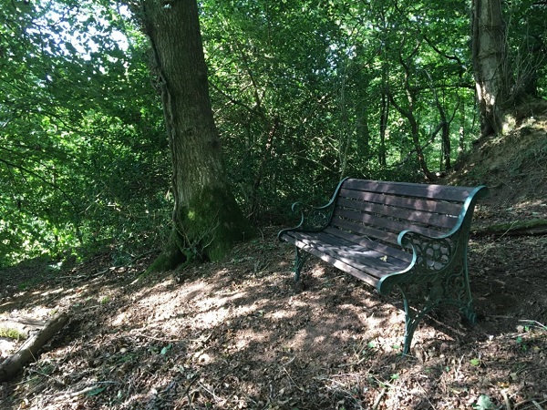 Bench in the woods