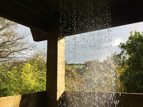 The shower view