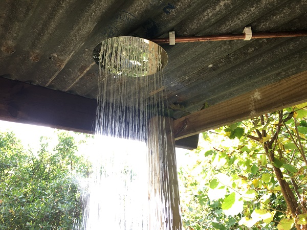 The shower