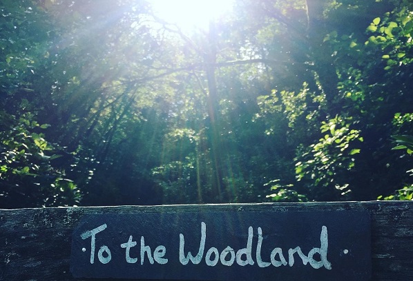 to the woodland
