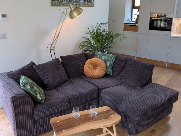 comfy sofas